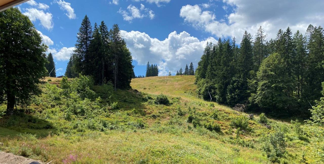 Ferienwohnung Feldberg Schwarzwald Luaran gambar