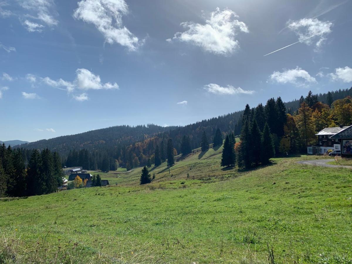 Ferienwohnung Feldberg Schwarzwald Luaran gambar