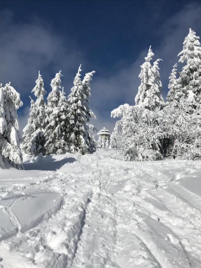 Ferienwohnung Feldberg Schwarzwald Luaran gambar