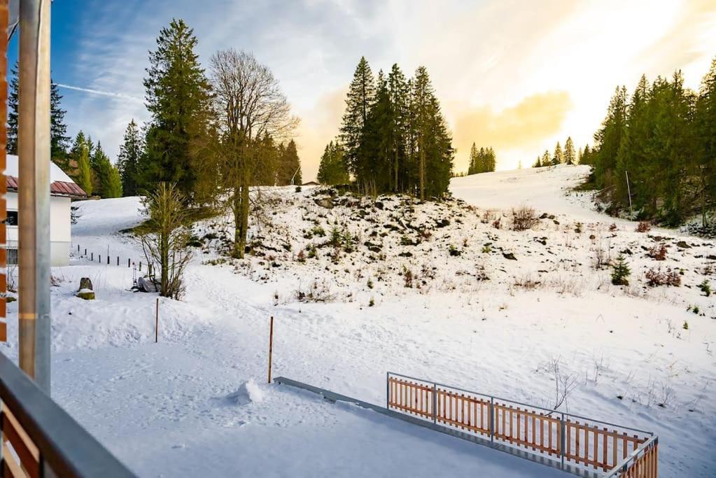 Ferienwohnung Feldberg Schwarzwald Luaran gambar